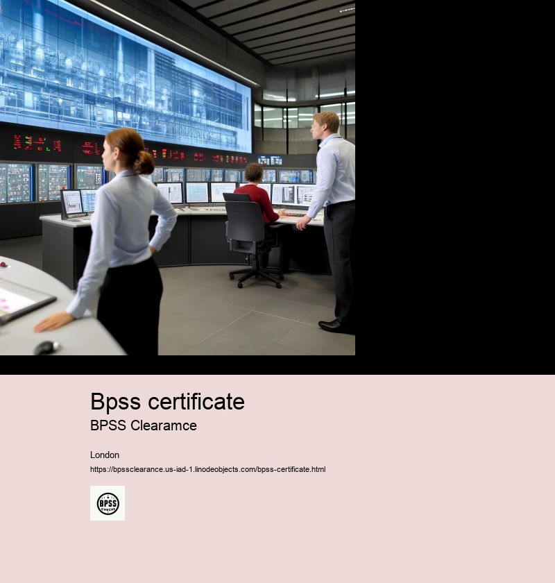 Who can carry out BPSS checks?