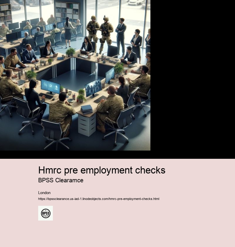 What is the pre employment check stage?