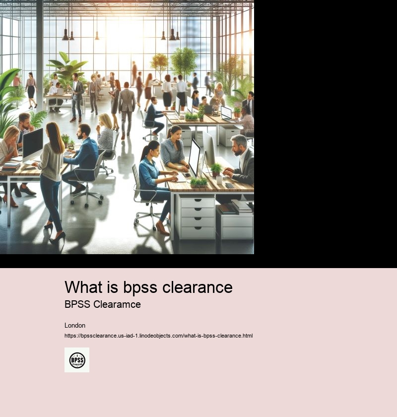 what is bpss clearance